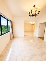 The Cairnhill (D9), Condominium #578507791